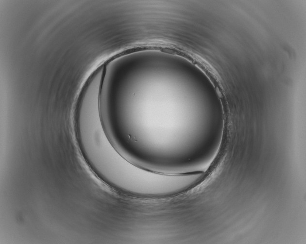 X0000113160989200909041251