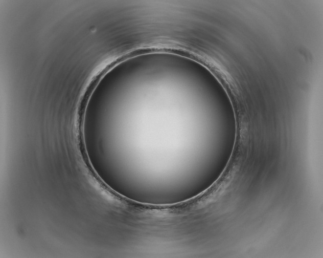 X0000113160990200909041251