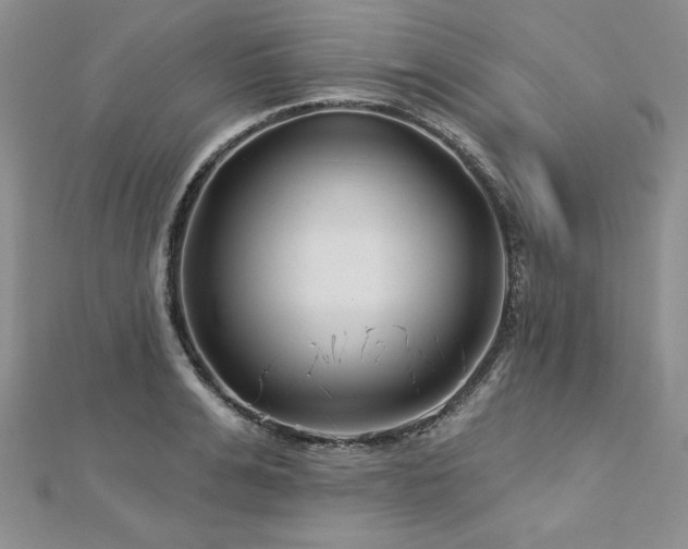 X0000113160991200909041251