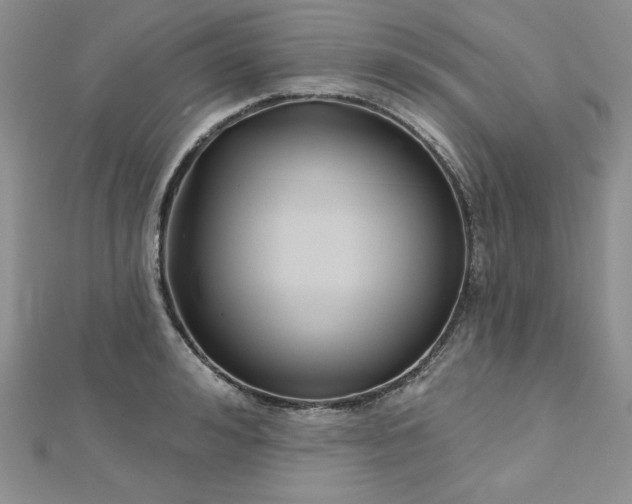 X0000113160992200909041251
