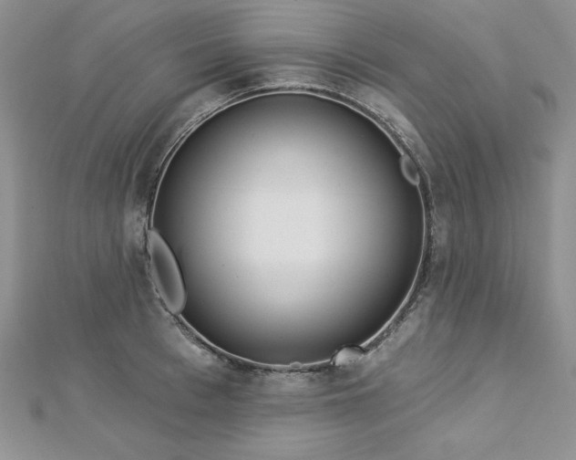 X0000113160993200909041251