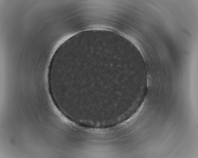 X0000113160995200909041251