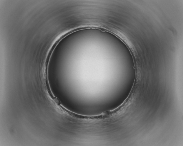 X0000113160996200909041251