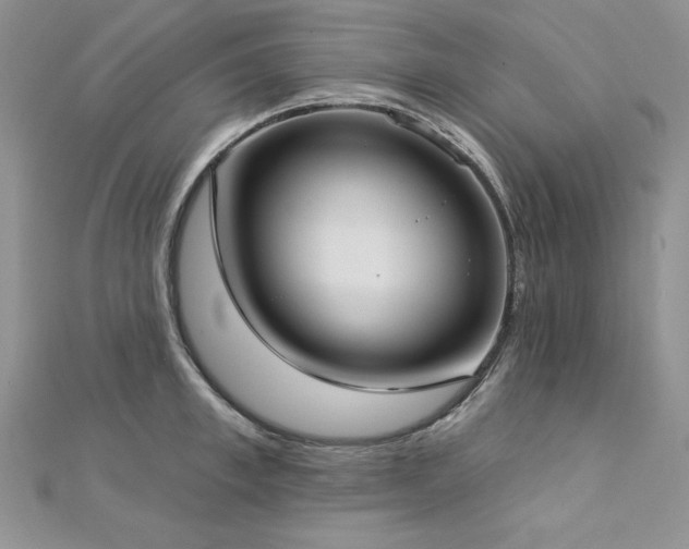X0000113160997200909041251