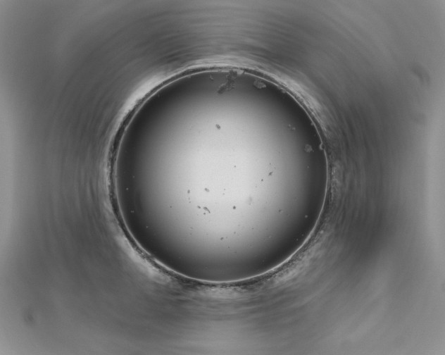 X0000113160998200909041251