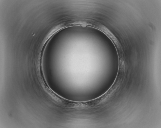 X0000113161002200909041251