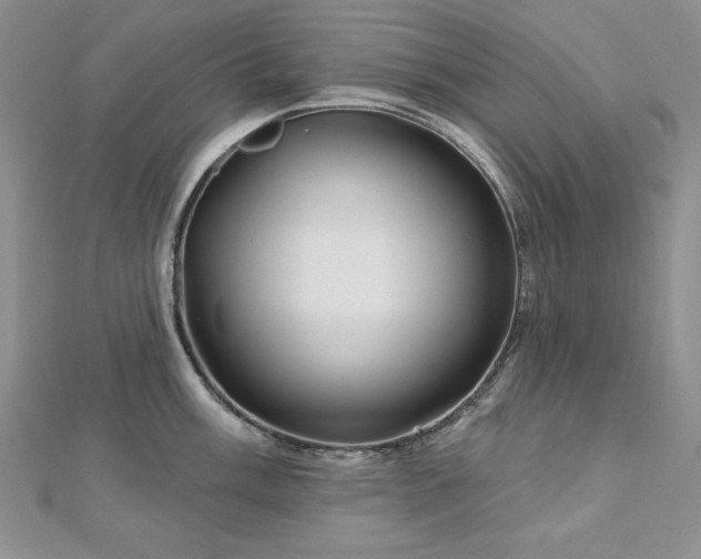 X0000113161003200909041251