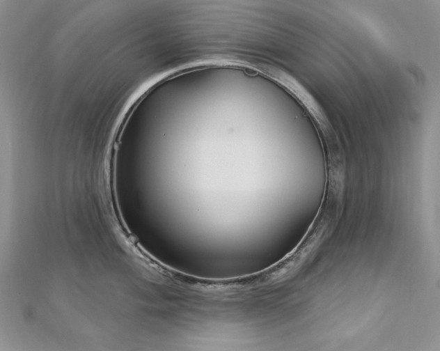 X0000113161004200909041251