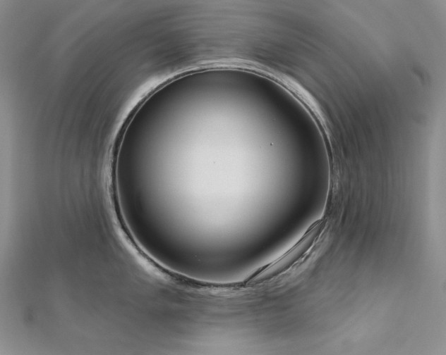 X0000113161005200909041251