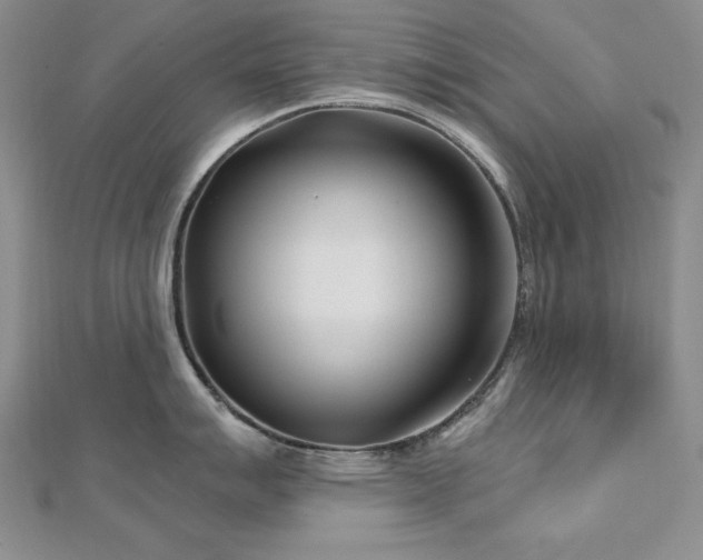 X0000113161007200909041251