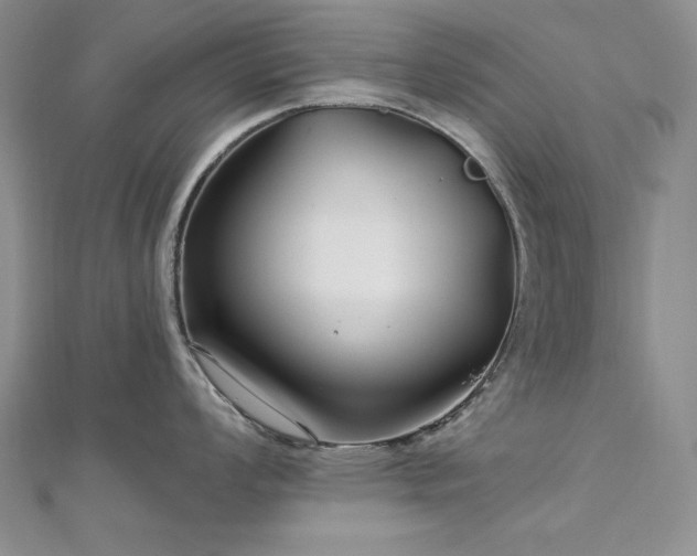 X0000113161008200909041251