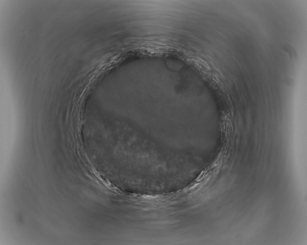 X0000113161009200909041250