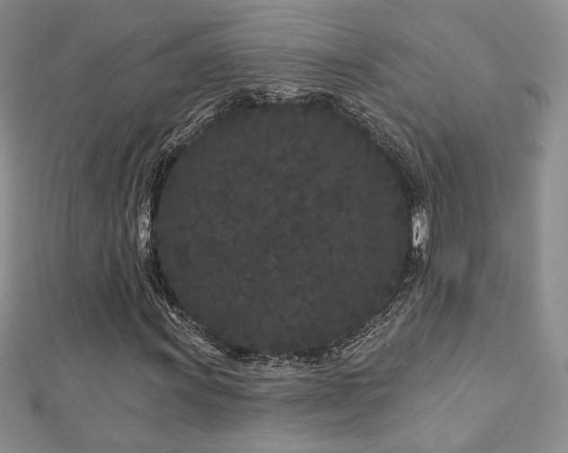 X0000113161011200909041250