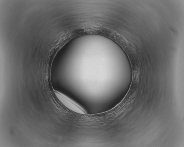 X0000113161012200909041250