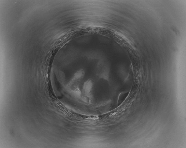 X0000113161013200909041250