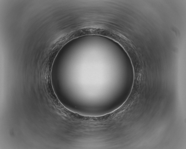 X0000113161014200909041250