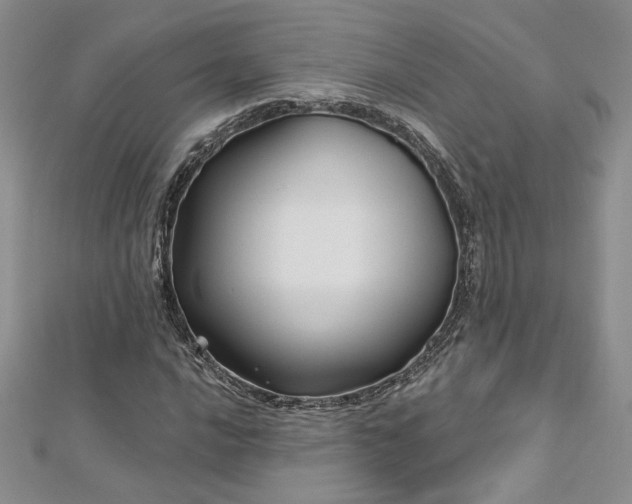 X0000113161016200909041250
