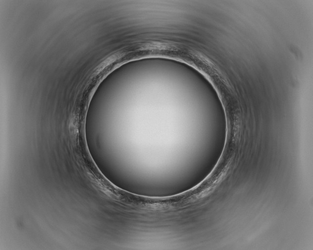 X0000113161017200909041250