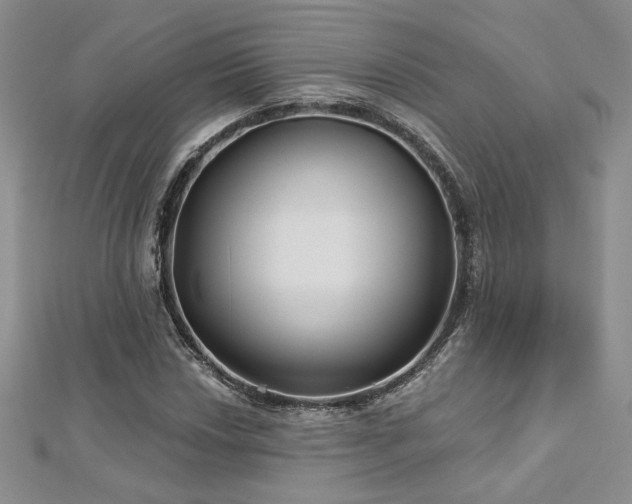 X0000113161018200909041250