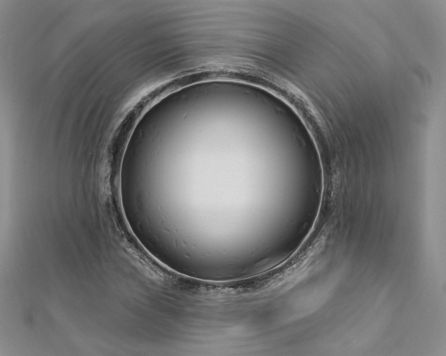 X0000113161019200909041250