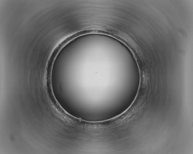 X0000113161020200909041250