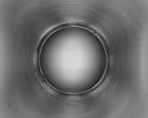 X0000113161021200909041250