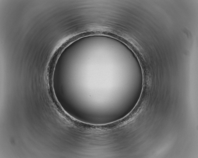 X0000113161022200909041250
