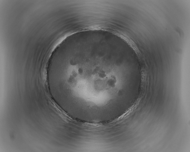 X0000113161023200909041250