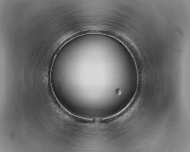 X0000113161025200909041250