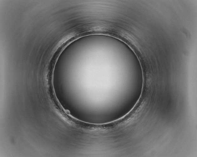X0000113161026200909041250