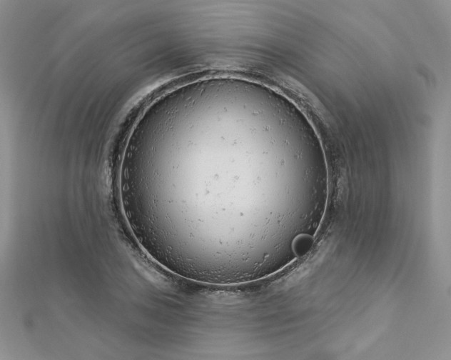 X0000113161027200909041250