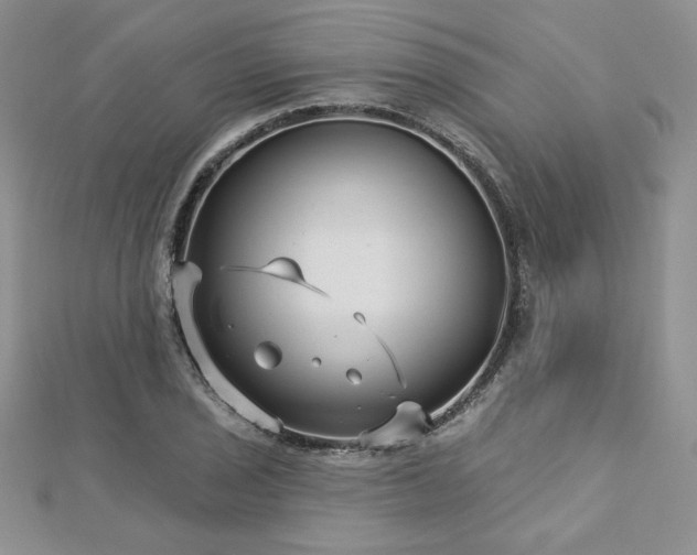 X0000113161029200909041251