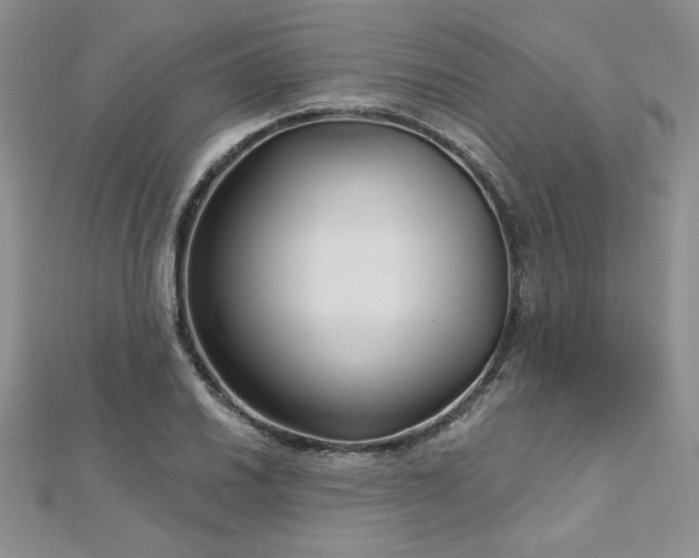 X0000113161030200909041251