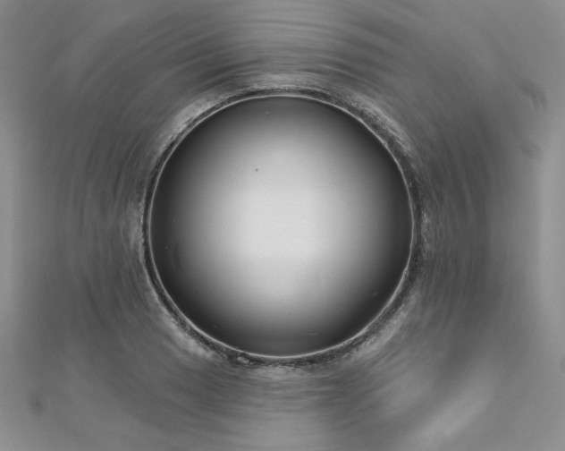 X0000113161033200909041251