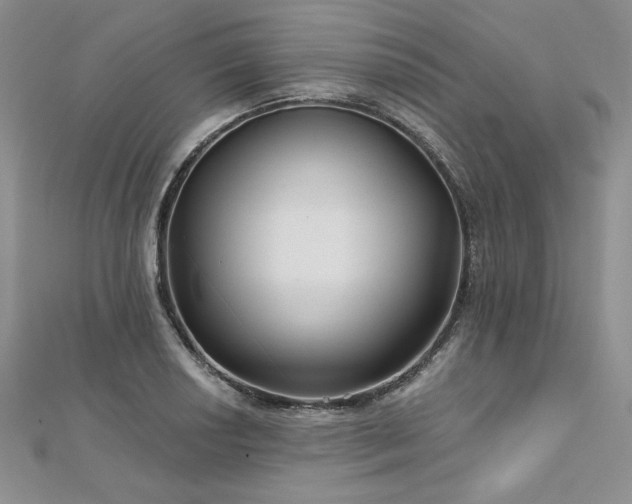 X0000113161034200909041251