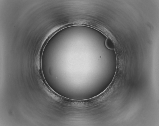 X0000113161036200909041251