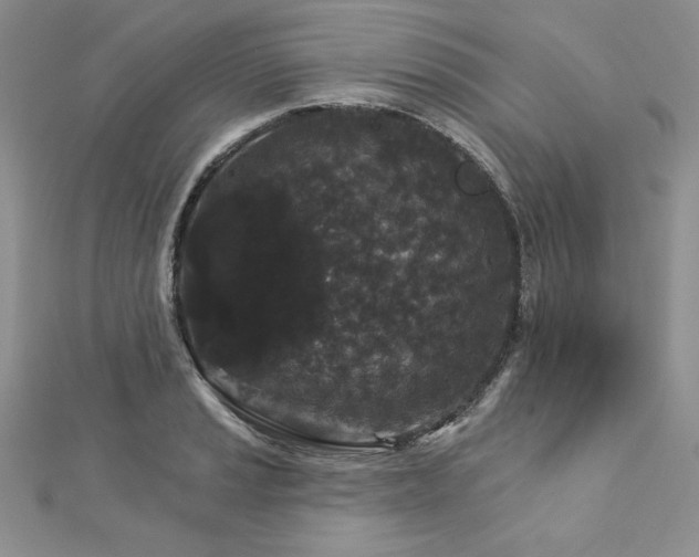 X0000113161037200909041251