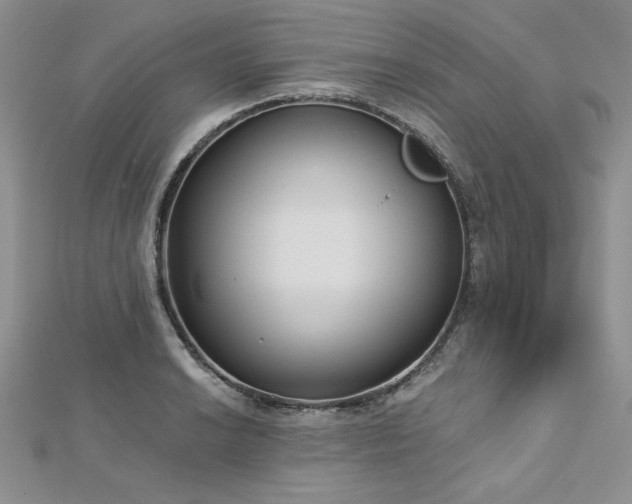 X0000113161038200909041251