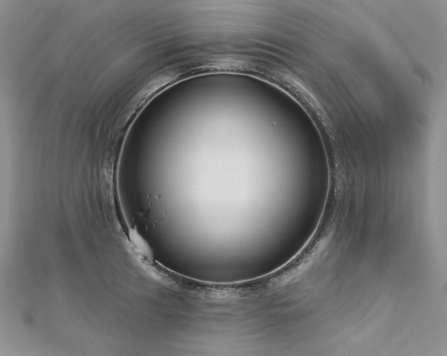 X0000113161041200909041251