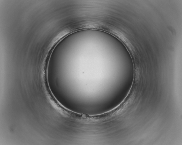 X0000113161042200909041251