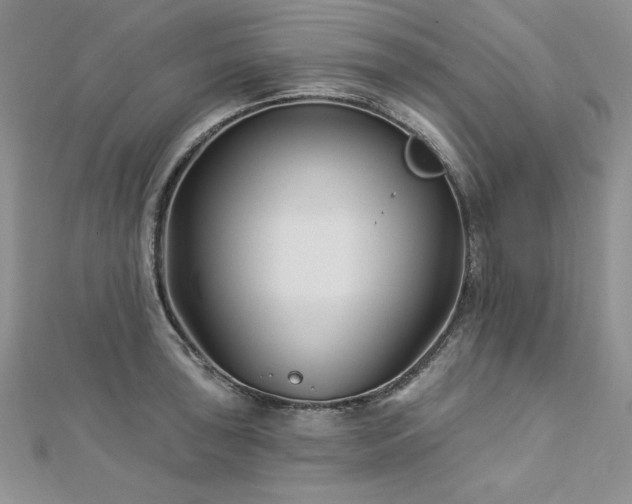 X0000113161043200909041251