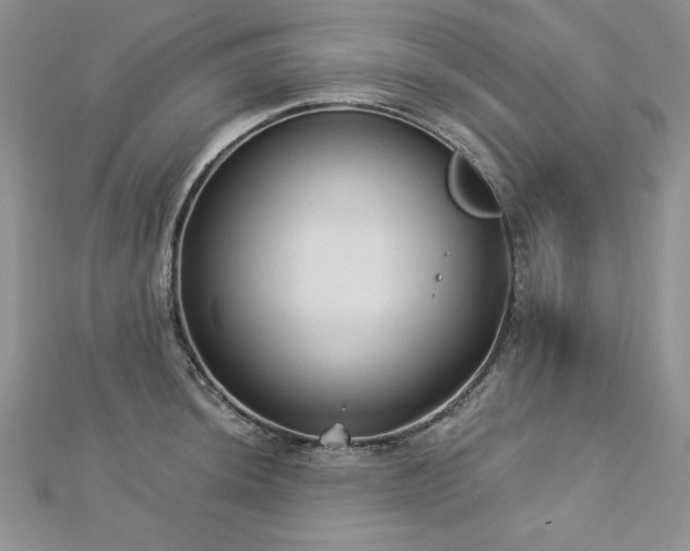 X0000113161044200909041251