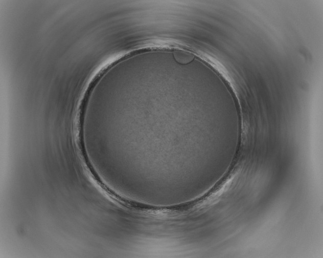 X0000113161045200909041251