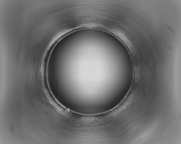 X0000113161046200909041251