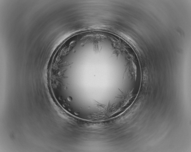 X0000113161047200909041251