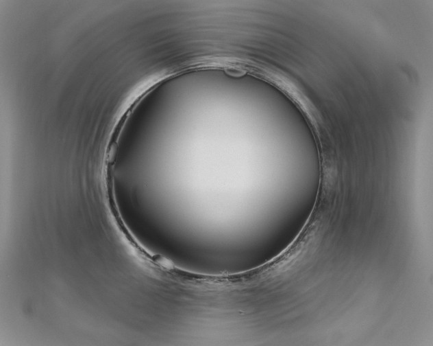 X0000113161050200909041251