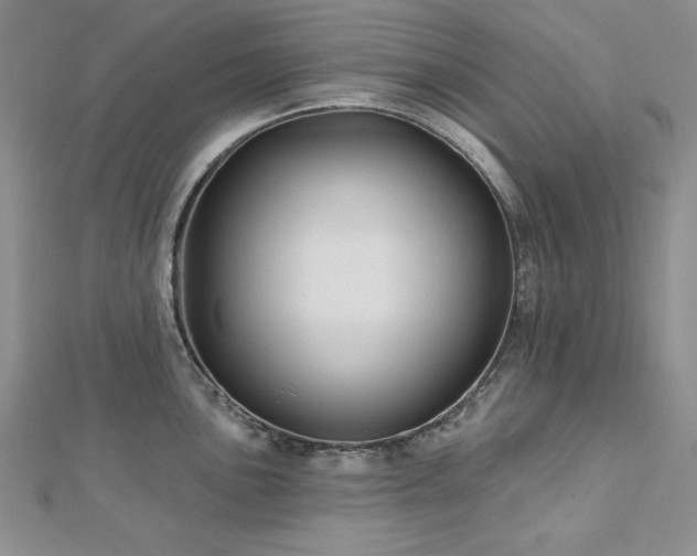 X0000113161051200909041251