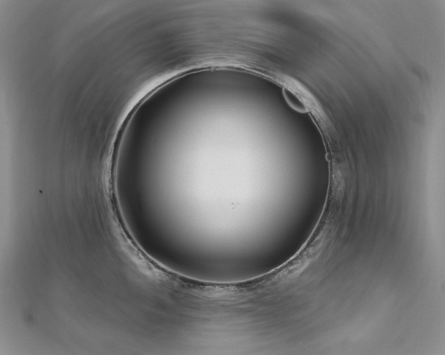 X0000113161052200909041251