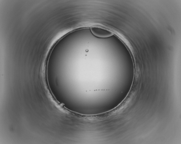 X0000113161053200909041251