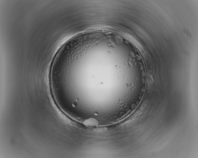 X0000113161055200909041251